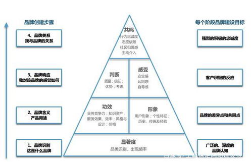 保定律師事務所網(wǎng)站建設與品牌營銷方法